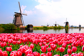 Travel in style Cruises Rijn The Luxury Travel Excellence Cor van der Graaf