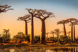 Silversea Wereldreis 2023 Cruise The Luxury Travel Excellence Cor van der Graaf